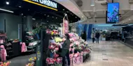 AMFI Borg fellesarea, i gang foran Mester Grønn