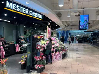 AMFI Borg fellesarea, i gang foran Mester Grønn