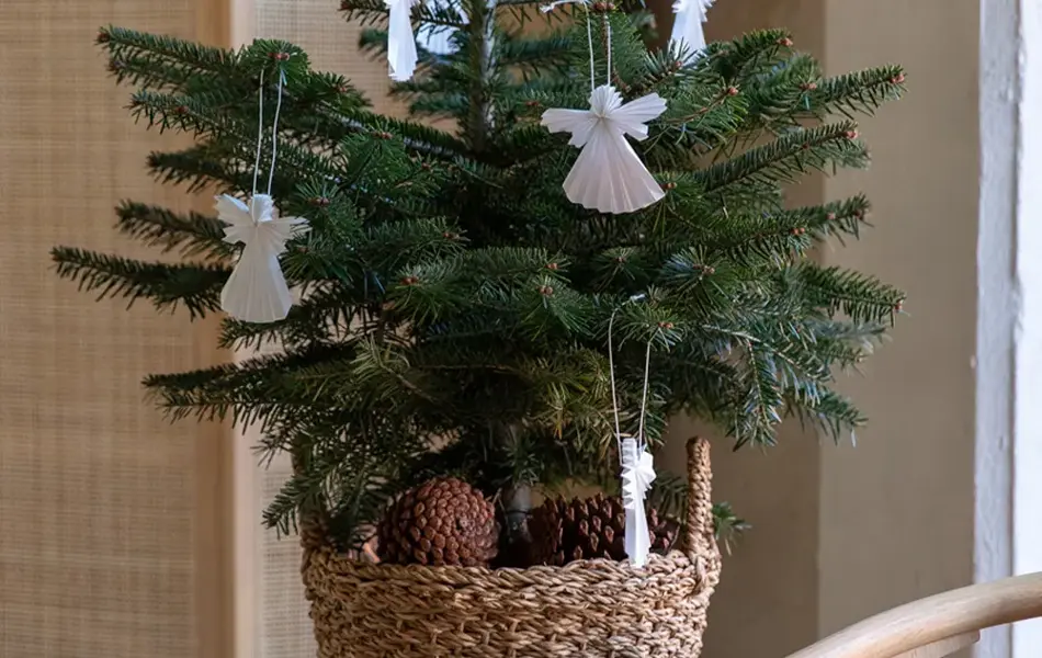 Stuegran dekoret med engler