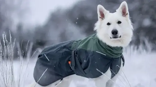 Kle deg godt i kulden