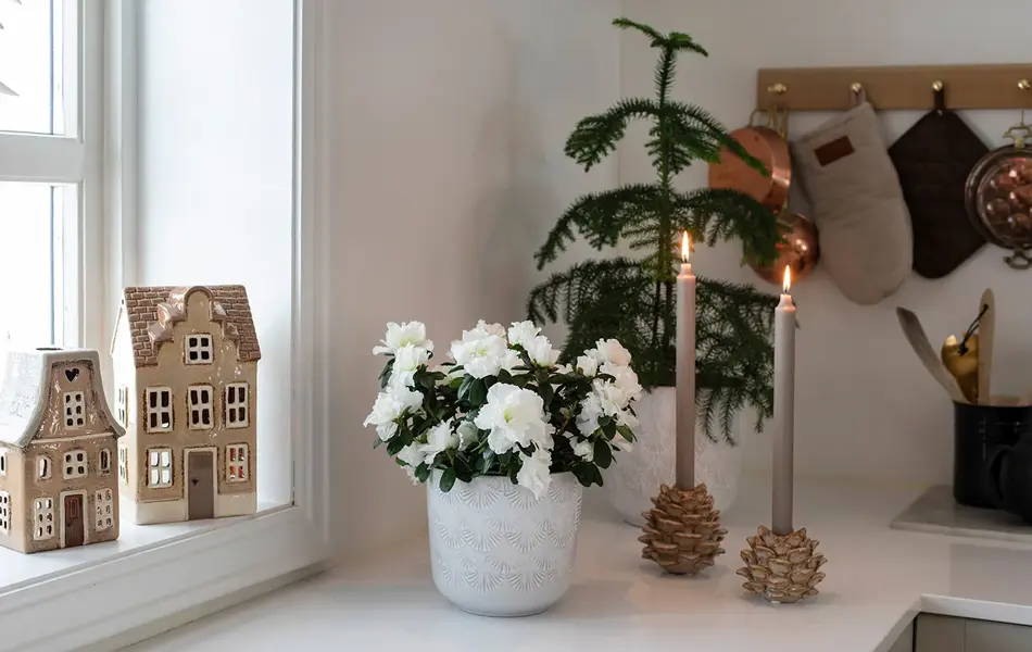 Pepperkakehus og blomster fra Mester Grønn