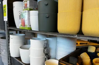 Hageland-WipeOut-februar2026