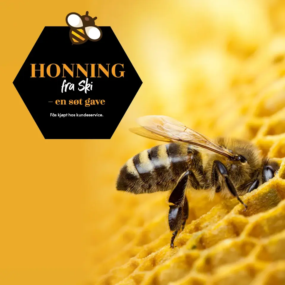 web_toppbanner_1080x1080_honning