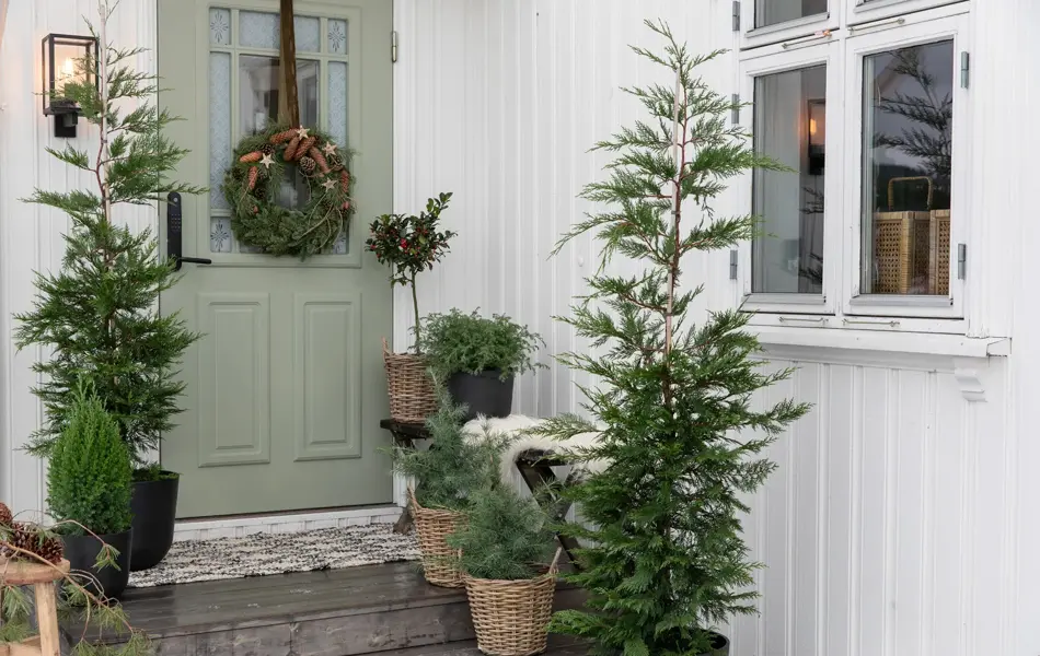 10_Novent inngansgparti