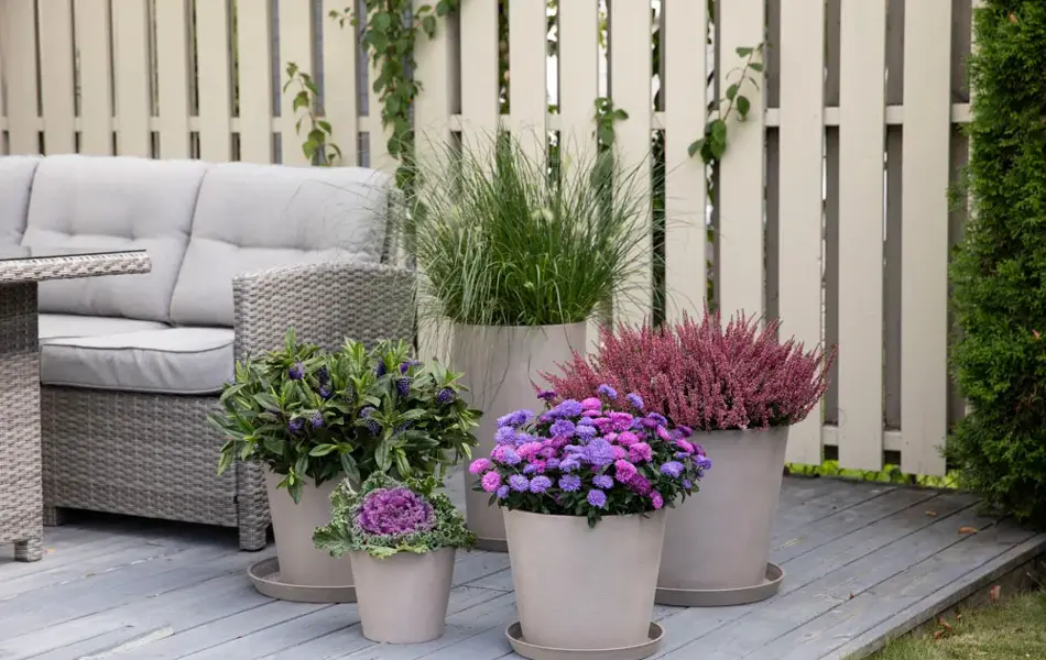 Uteplass med blomster