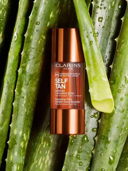 Selftan som ligger på alovera plante