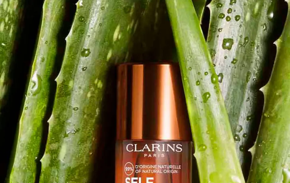 Selftan som ligger på alovera plante