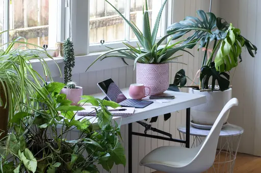 Et skrivebord med en laptop og mange planter rundt.