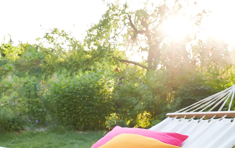 Nærbilde fra hage i soloppgang, med daghengekøye med rosa og oransje pute.