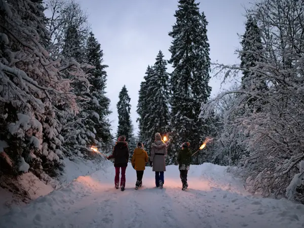 Mother and three kids hiking in beautiful winter forest at late evening. Kids are holding flaming torches.
Show with Canon R5