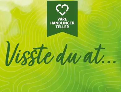 Aktivitetsbilde_visste du