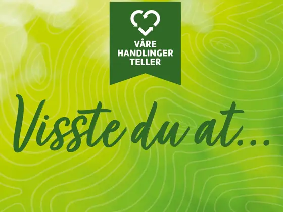 Aktivitetsbilde_visste du