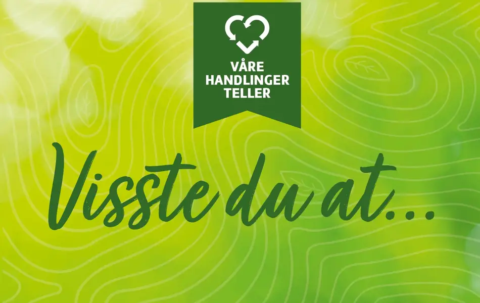 Aktivitetsbilde_visste du