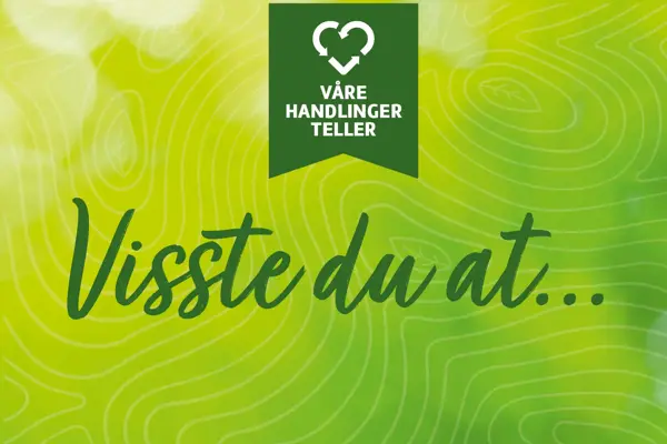 Aktivitetsbilde_visste du