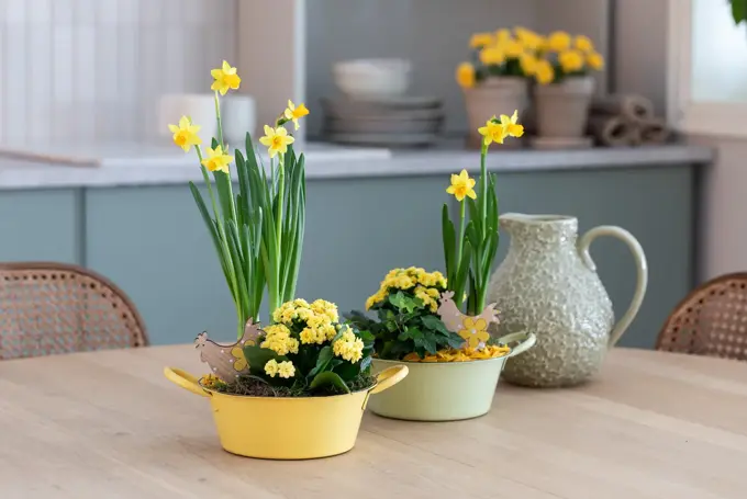 Påskeblomster fra Mester Grønn