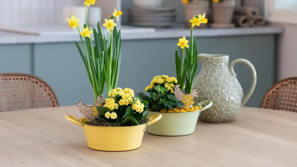 Påskeblomster fra Mester Grønn