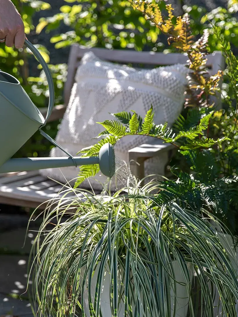 Ferievanner blomster Mester Grønn