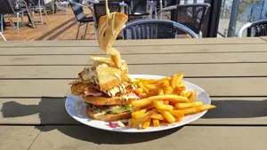 Sandwich med fries