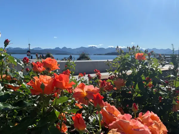 molde by