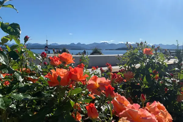 molde by