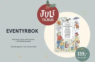 Eksempelbilde av tilbudet.