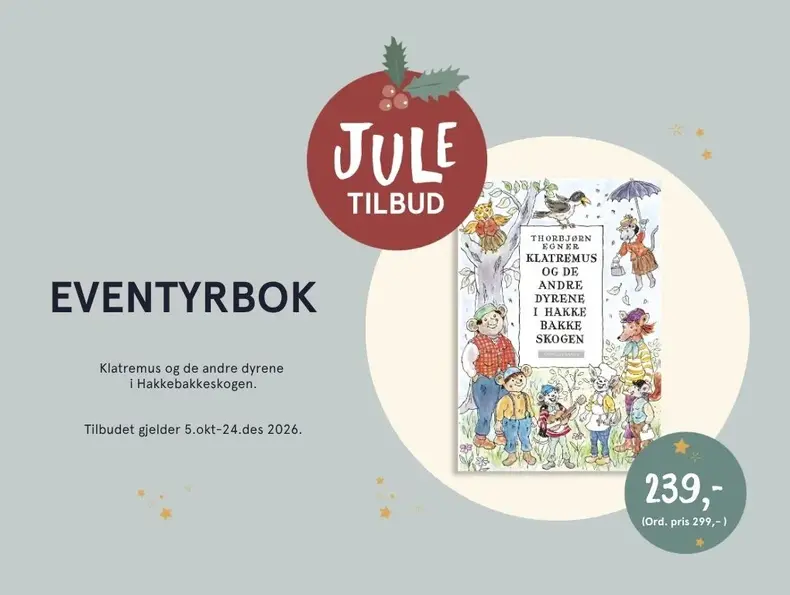 Eksempelbilde av tilbudet.