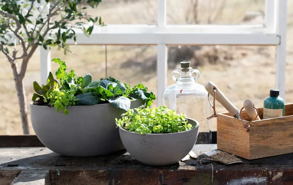 Krukker med grønnsaker i