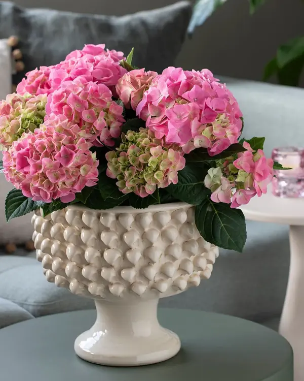 Fargerike blomster og vaser fra Mester Gronn