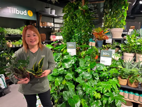 Vannessa med blomster fra mester grønn
