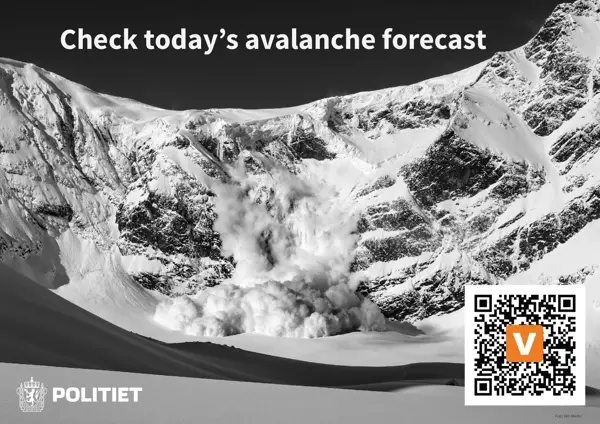 Avalanche forecaste