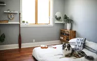 Et soverom med en lav seng som har en hund og en ukulele på seg