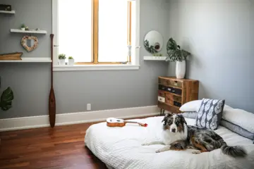 Et soverom med en lav seng som har en hund og en ukulele på seg