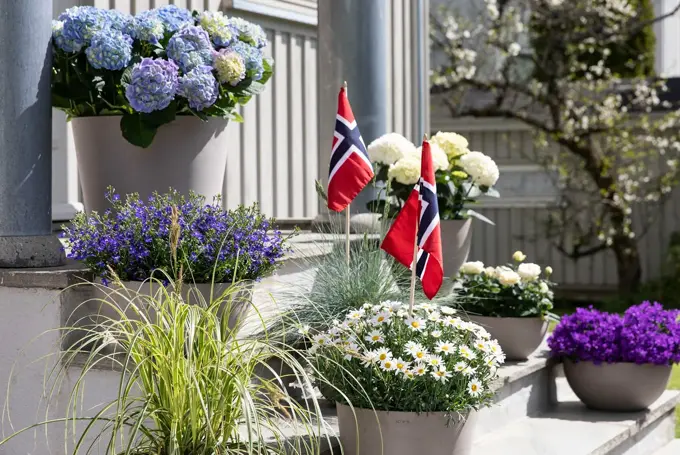 Blomster og pynt fra Mester Grønn