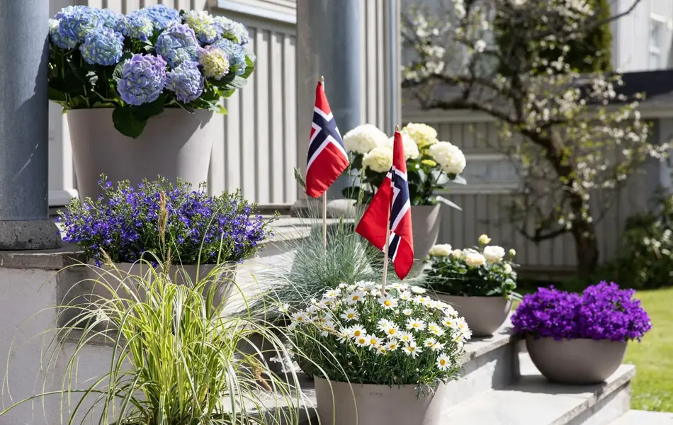 Blomster og pynt fra Mester Grønn