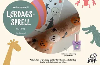 Eksempelbilde av tilbudet.
