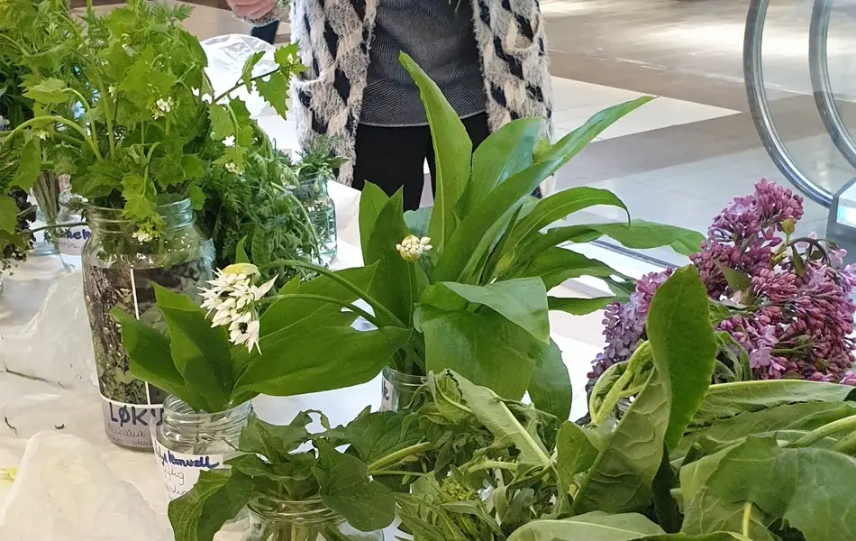 443731961_973082601493902_6501393136821837371_n, 1,2