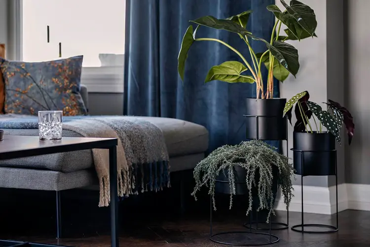 Skap lun stemning med puter og pledd! Foto: Kremmerhuset