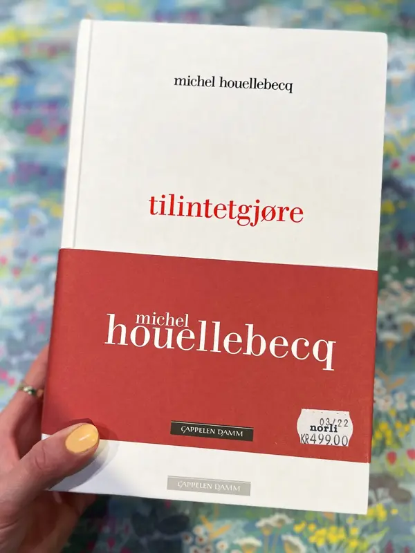 Coveret til boken "tilintetgjøre"