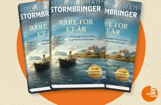 Tre eksemplarer av boken Bare for et år av Hege Norman-Stormbringer.