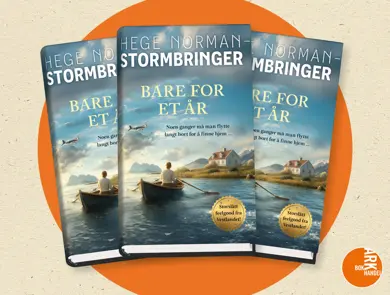 Tre eksemplarer av boken Bare for et år av Hege Norman-Stormbringer.