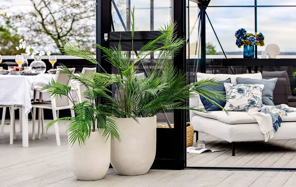 Grønne planter på en platt ved en vinterhage