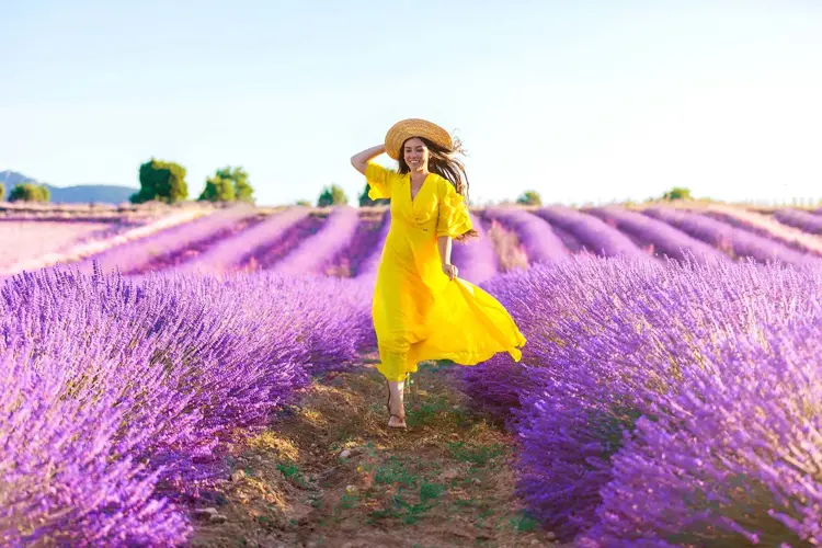 Dame med hatt og knallgul kjole i lavendelåker. Illustrasjonsbilde til artikkel om vårens farger.