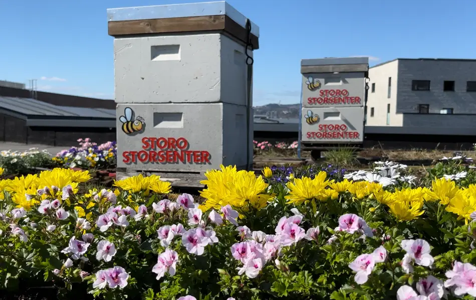 Biekuber og blomster på taket til Storo