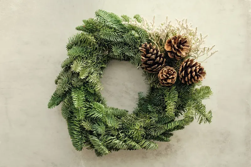 Nærbilde av granbarkrans med kongler