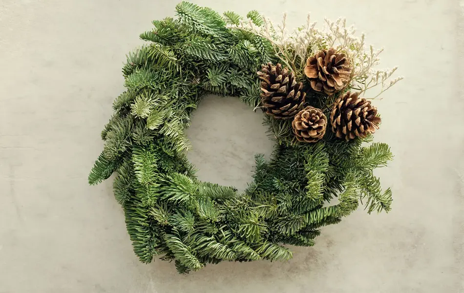 Nærbilde av granbarkrans med kongler