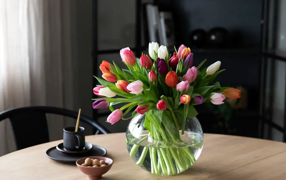 Mester Grønn 02.01 2_Tulipaner.jpg