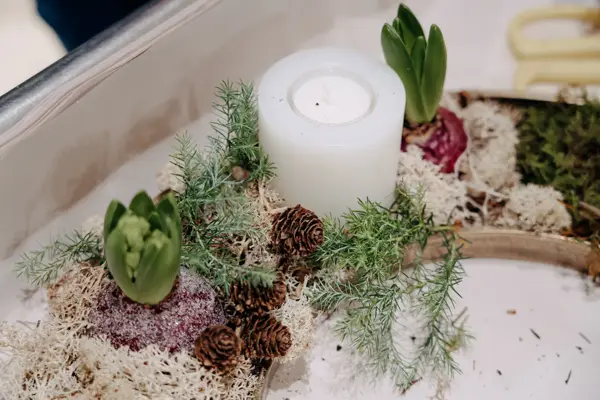 planter og batteridrevet lys