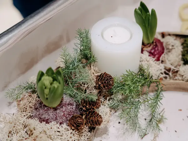 planter og batteridrevet lys