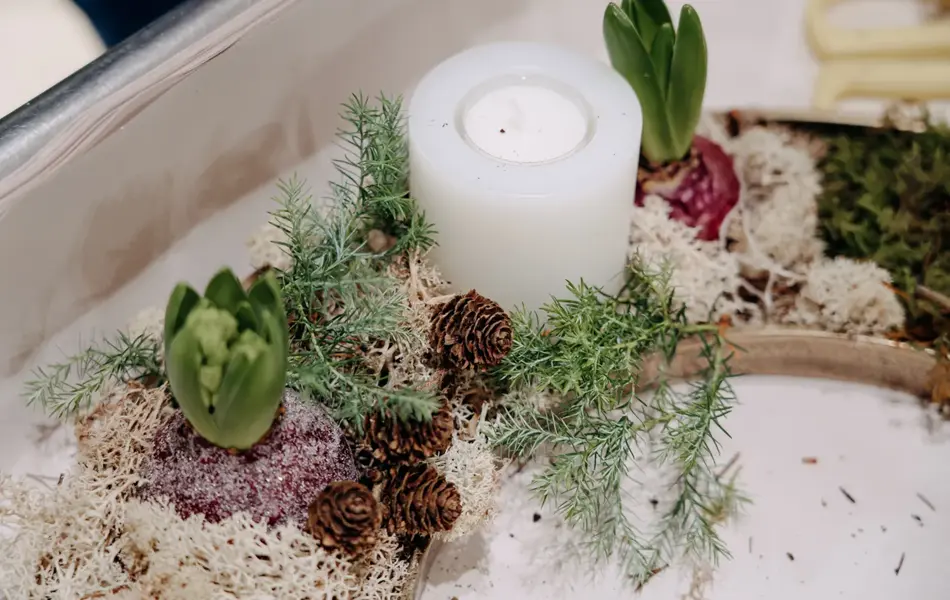 planter og batteridrevet lys