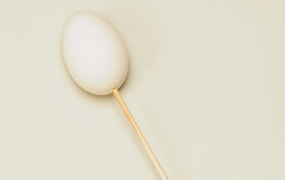 Ett egg med en pinne i 